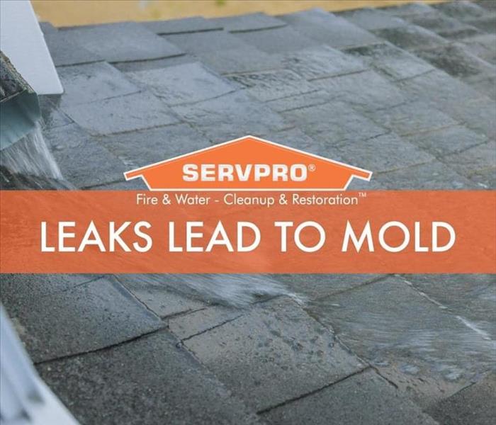 A SERVPRO logo is shown and the words Leaks Lead To Mold Are displayed 