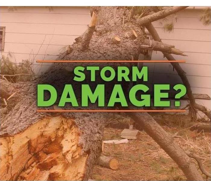 A downed tree is shown with the words storm damage with a question mark